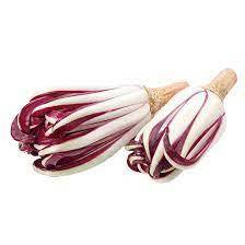 RADICCHIO TARDIVO  (CA'MAGRE)