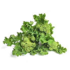 CIMA DI RAPA  (ZANNINI G.)