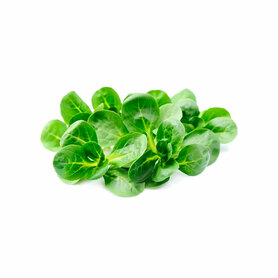 VALERIANA  SFUSA (Collina)