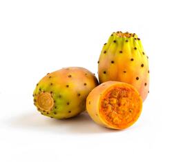 FICHI D'INDIA  (INCAMPAGNA srls)