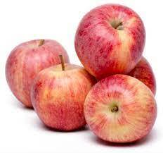 MELA FUJI  (Luca Fila)